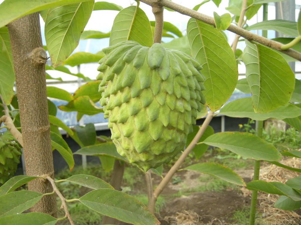Agri Manager Global